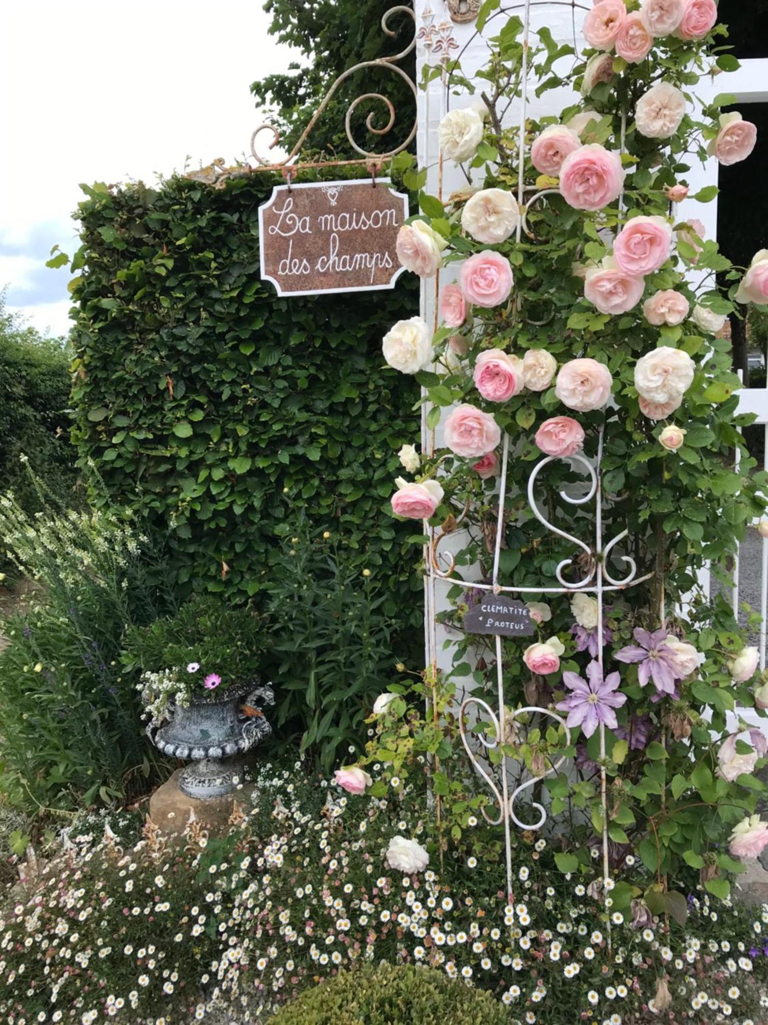 Appartement Avec Jardin 3 Couchages Proche Port Des Fontinettes 阿尔奎斯 外观 照片